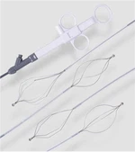 Ce Ciseán Coirp Ionscópacha Eachtrach Marcáilte